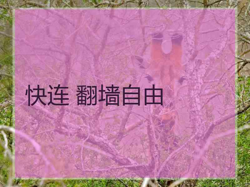 快连 翻墙自由