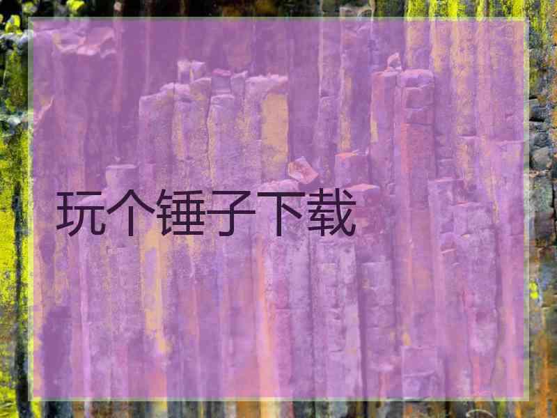 玩个锤子下载