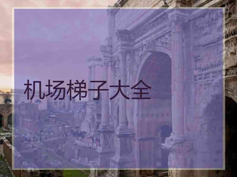 机场梯子大全