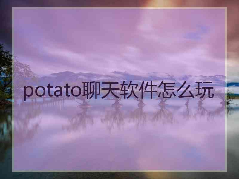 potato聊天软件怎么玩