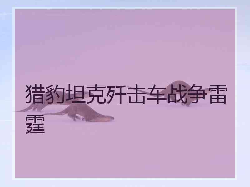 猎豹坦克歼击车战争雷霆