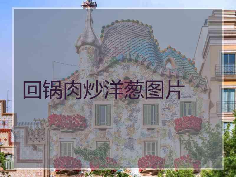 回锅肉炒洋葱图片