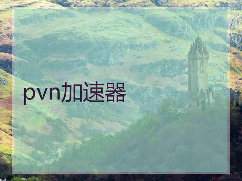 pvn加速器