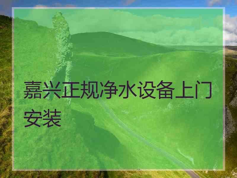嘉兴正规净水设备上门安装