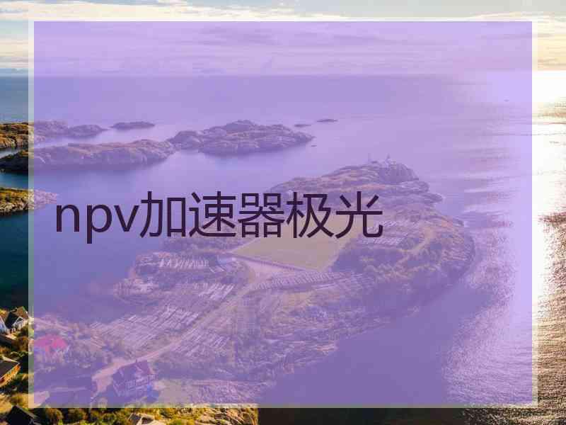 npv加速器极光