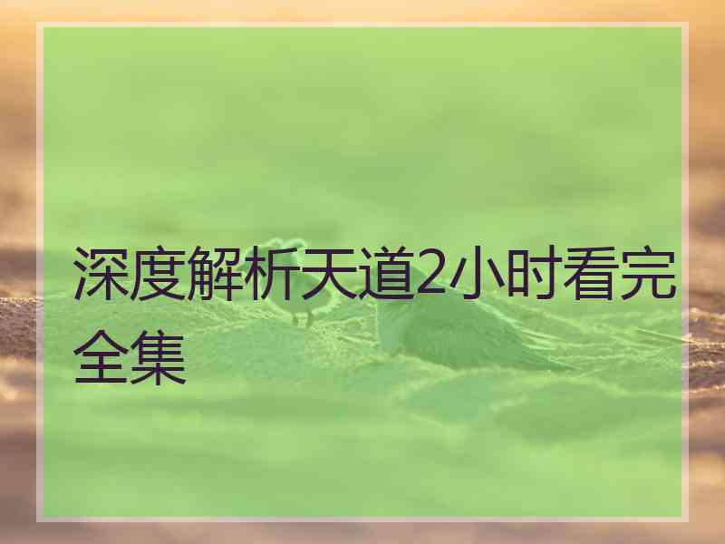 深度解析天道2小时看完全集