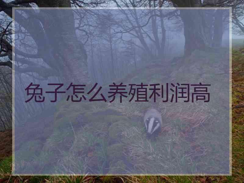 兔子怎么养殖利润高