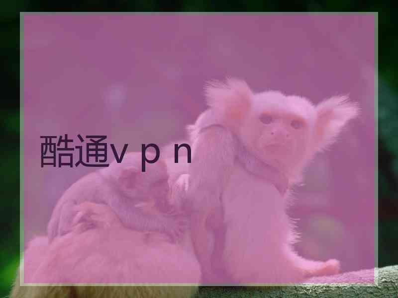 酷通v p n