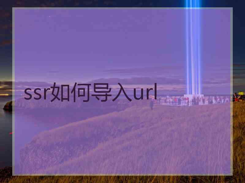 ssr如何导入url