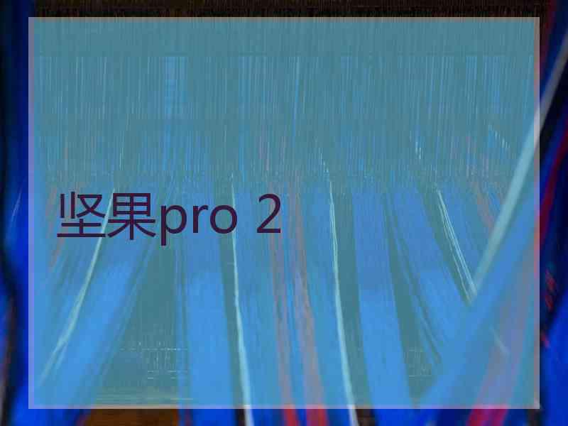 坚果pro 2