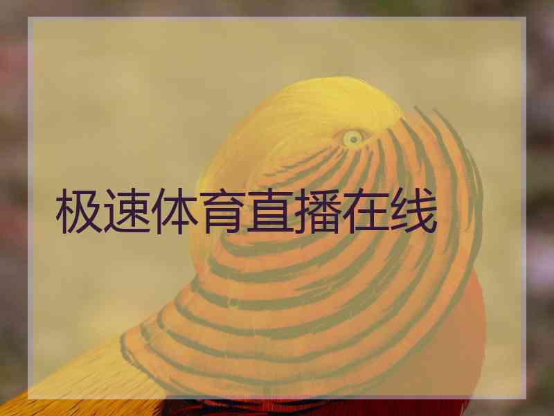 极速体育直播在线