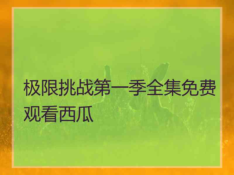 极限挑战第一季全集免费观看西瓜