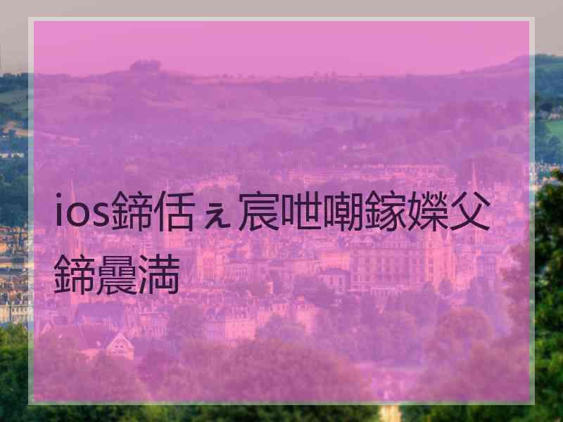 ios鍗佸ぇ宸呭嘲鎵嬫父鍗曟満