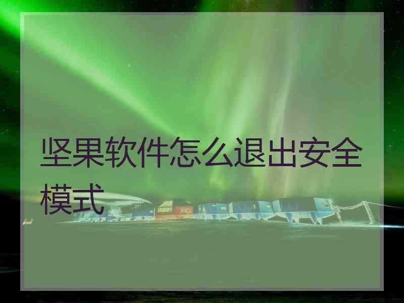坚果软件怎么退出安全模式