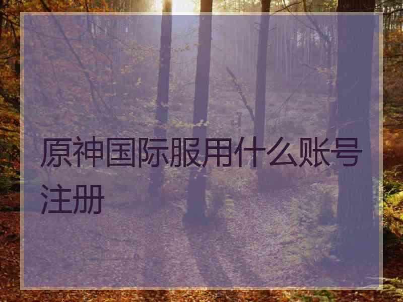 原神国际服用什么账号注册