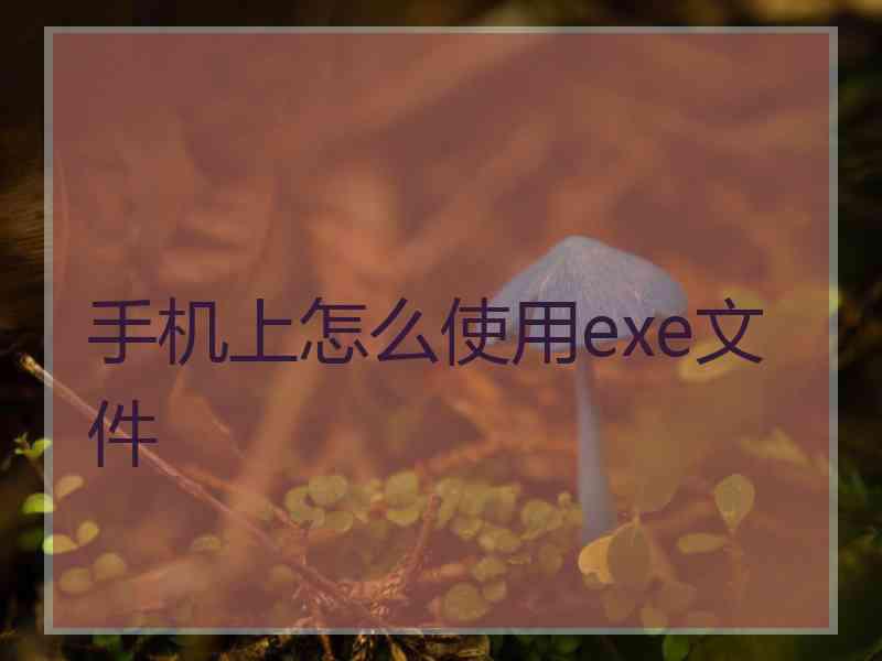 手机上怎么使用exe文件