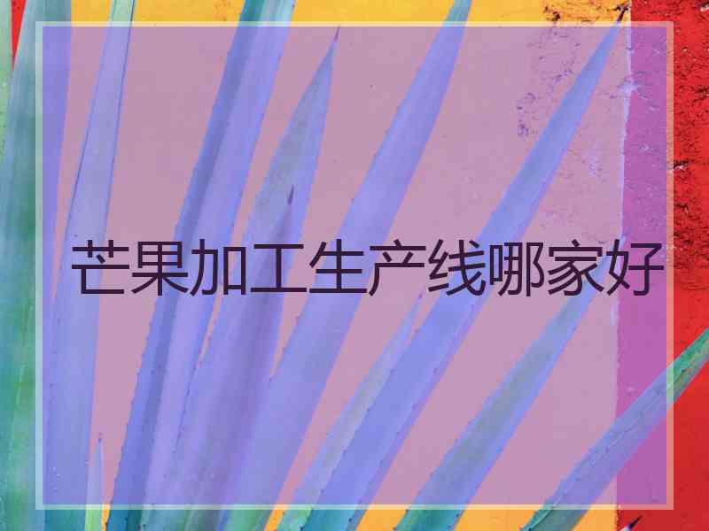 芒果加工生产线哪家好