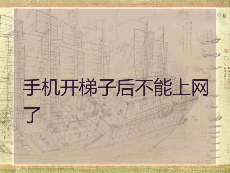 手机开梯子后不能上网了