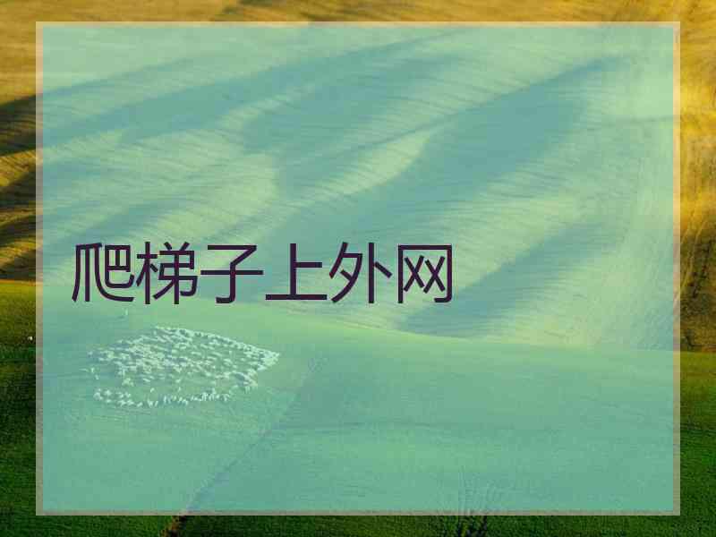 爬梯子上外网