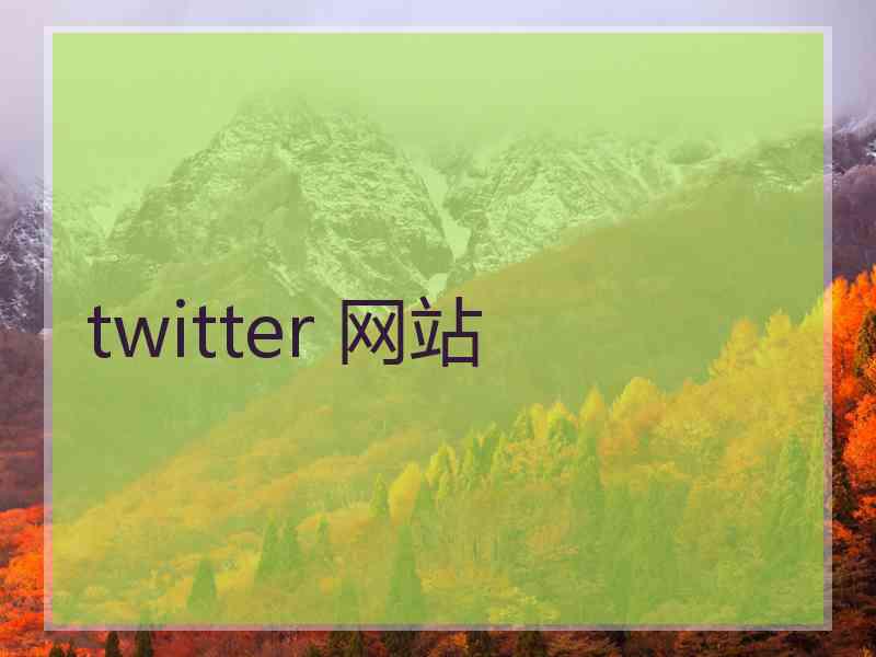 twitter 网站