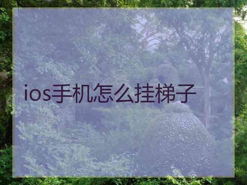 ios手机怎么挂梯子