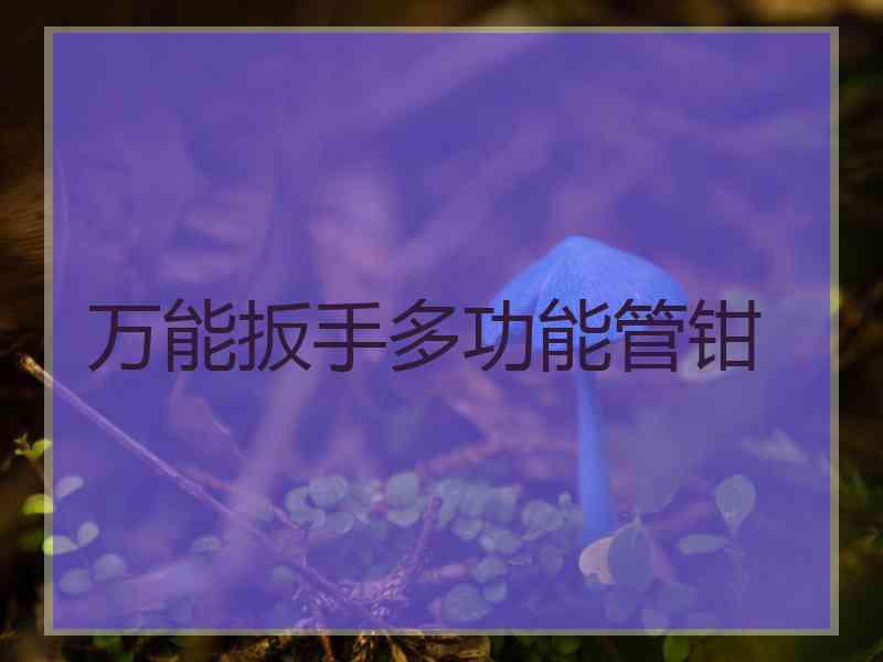万能扳手多功能管钳