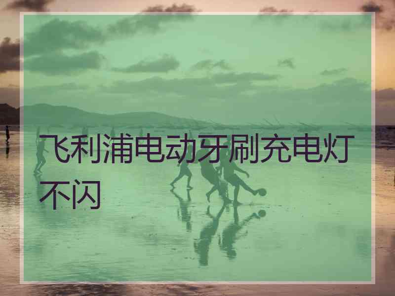 飞利浦电动牙刷充电灯不闪