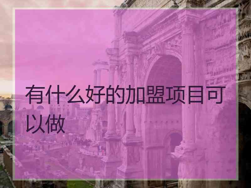 有什么好的加盟项目可以做