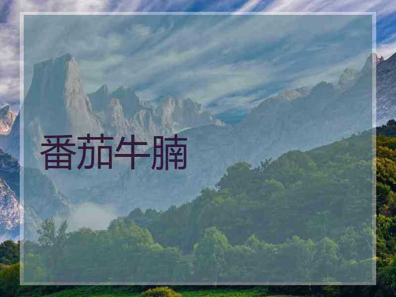 番茄牛腩