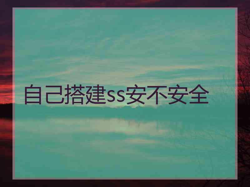 自己搭建ss安不安全