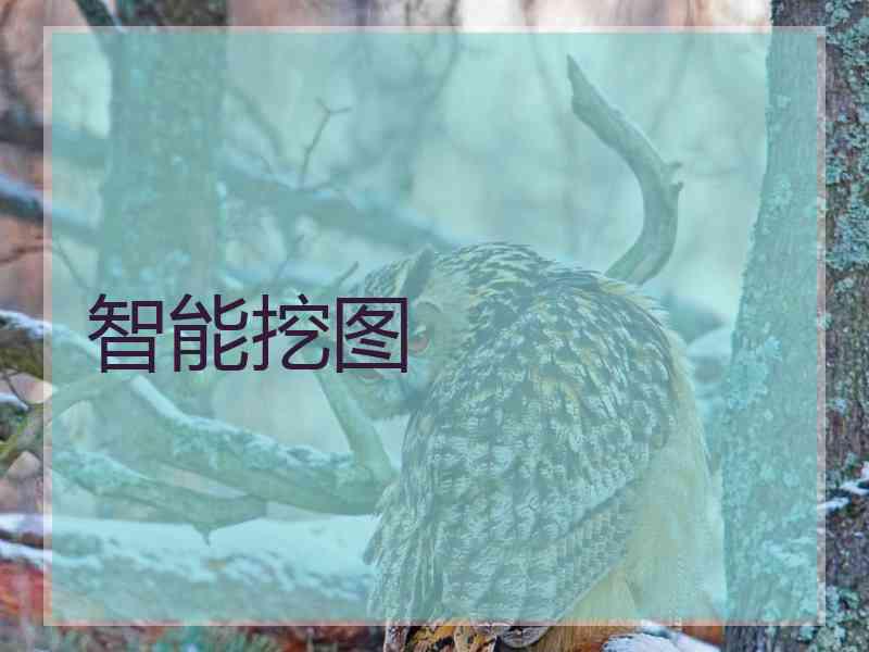 智能挖图