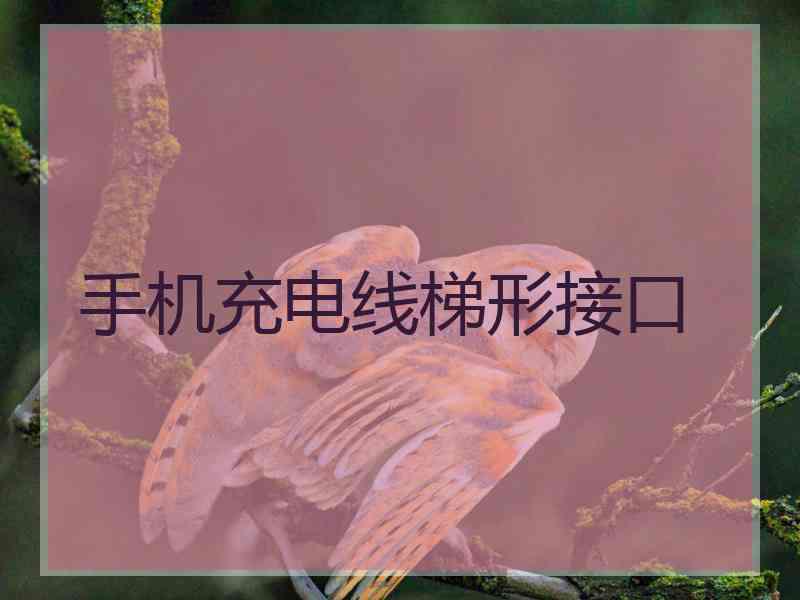 手机充电线梯形接口