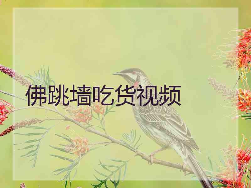 佛跳墙吃货视频