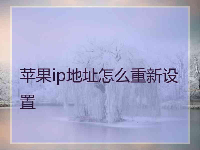 苹果ip地址怎么重新设置