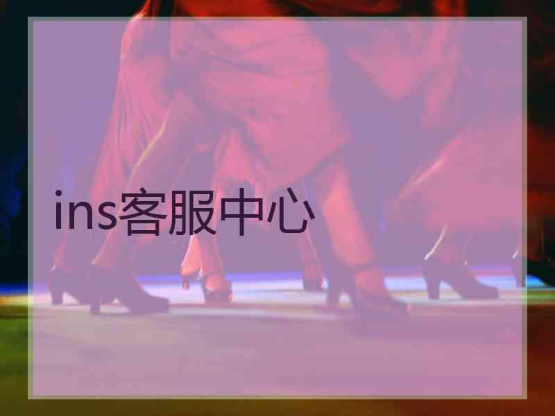 ins客服中心