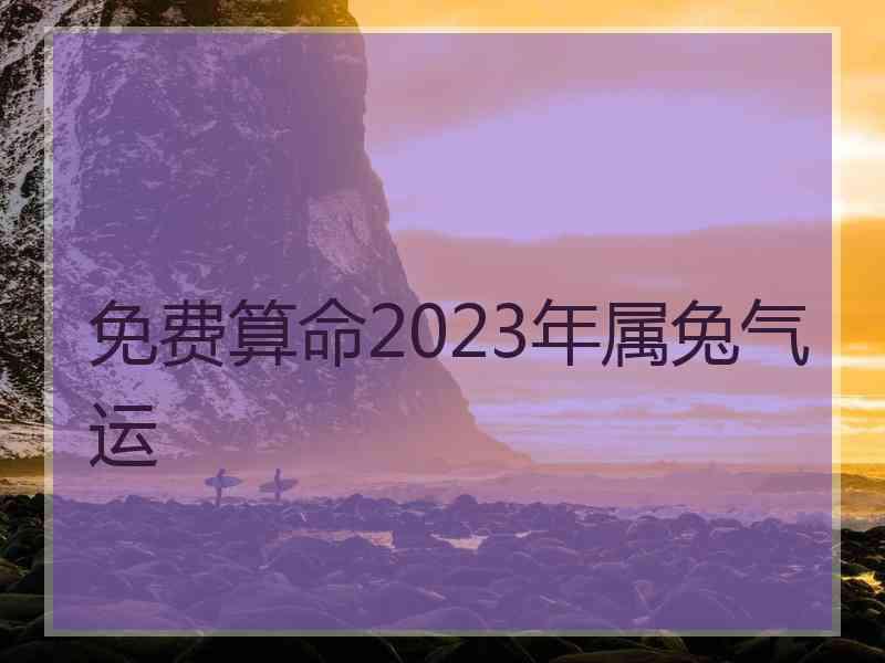 免费算命2023年属兔气运