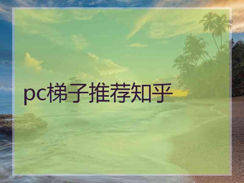 pc梯子推荐知乎