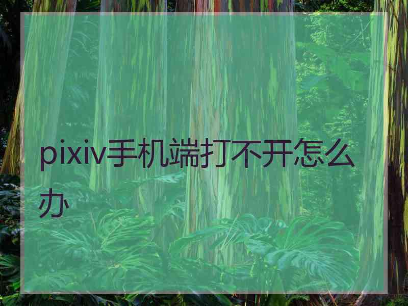 pixiv手机端打不开怎么办