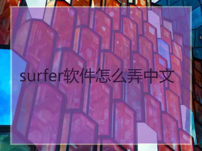 surfer软件怎么弄中文