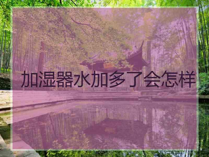 加湿器水加多了会怎样
