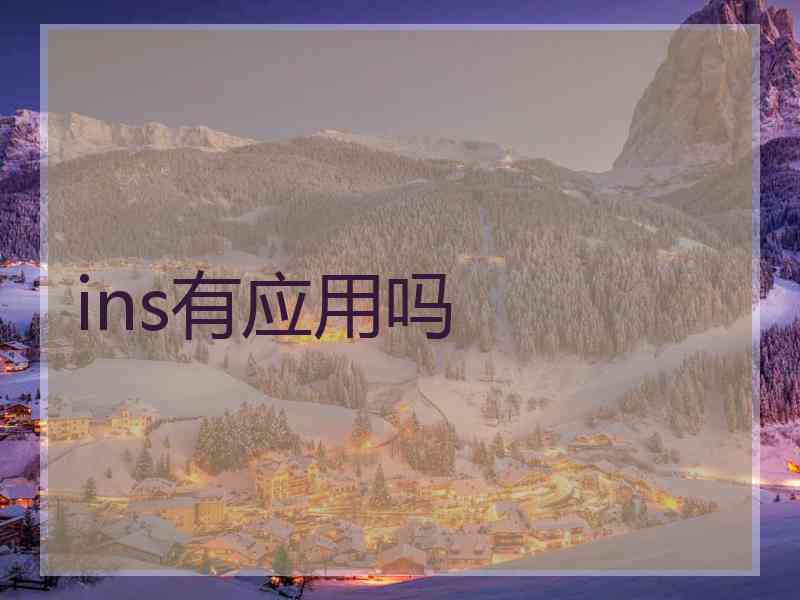 ins有应用吗