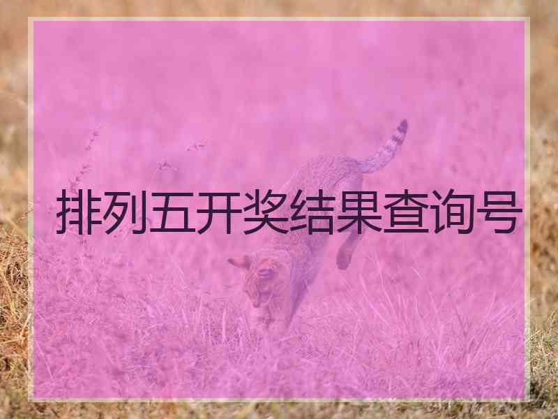 排列五开奖结果查询号