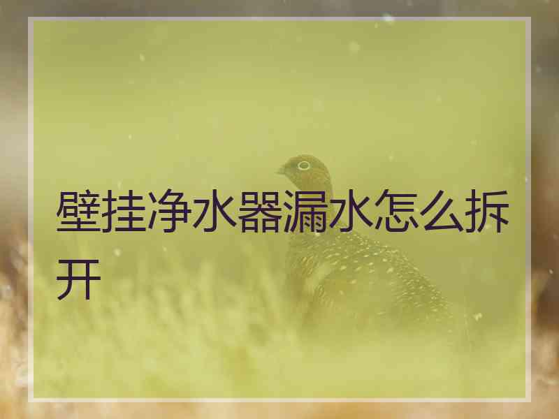 壁挂净水器漏水怎么拆开