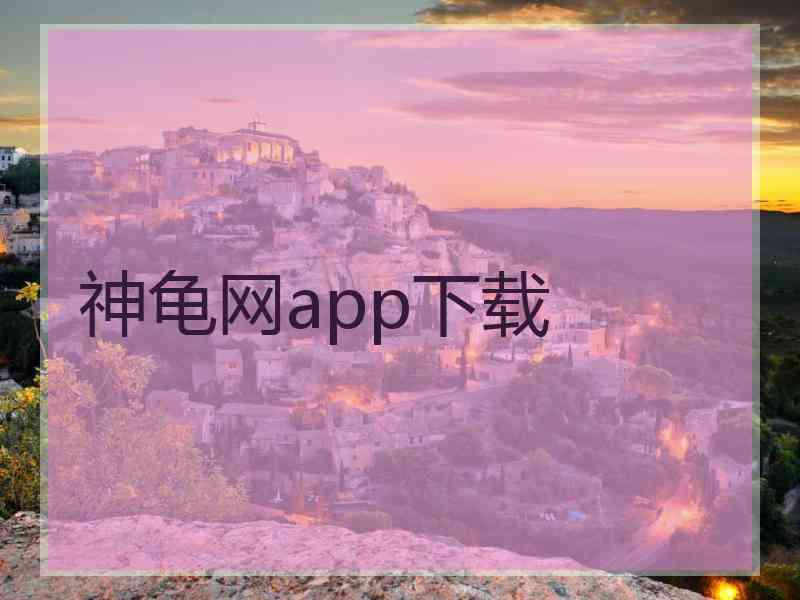 神龟网app下载