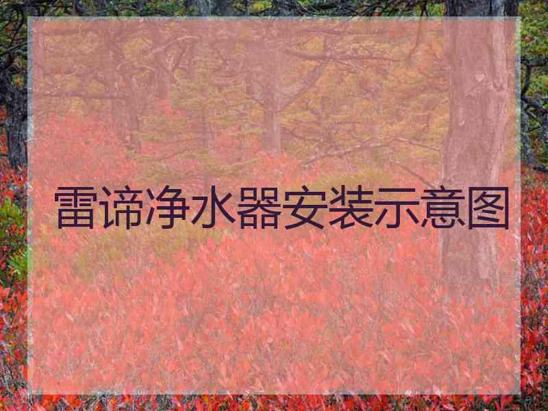 雷谛净水器安装示意图