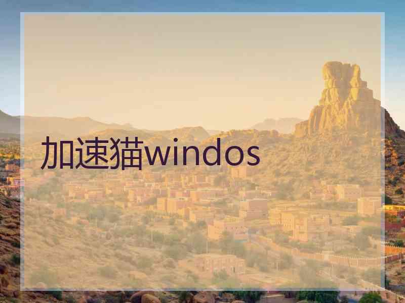 加速猫windos