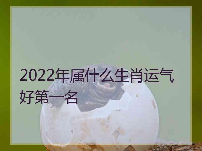 2022年属什么生肖运气好第一名