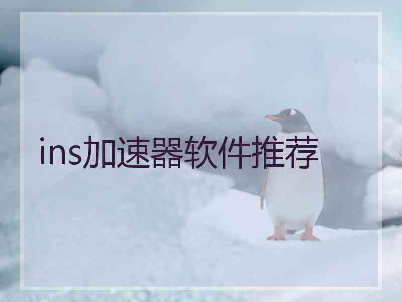 ins加速器软件推荐