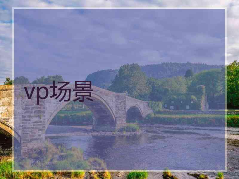 vp场景