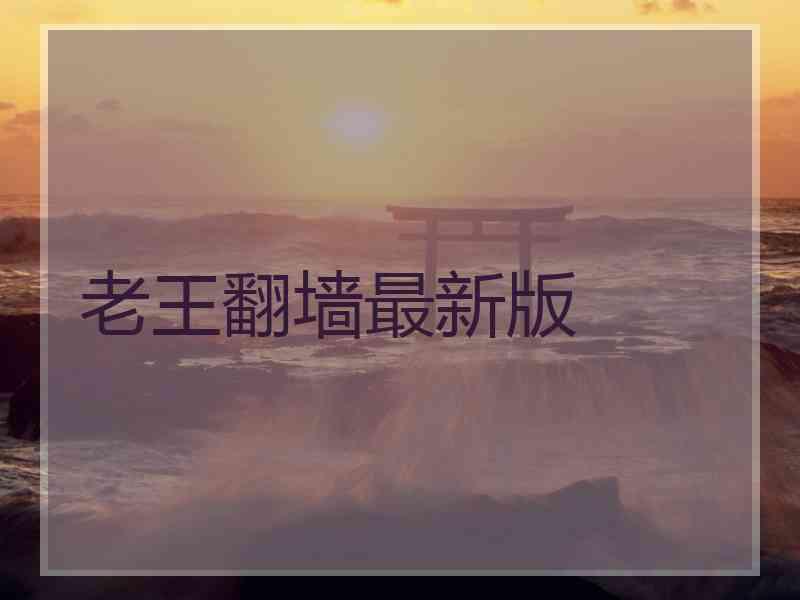 老王翻墙最新版